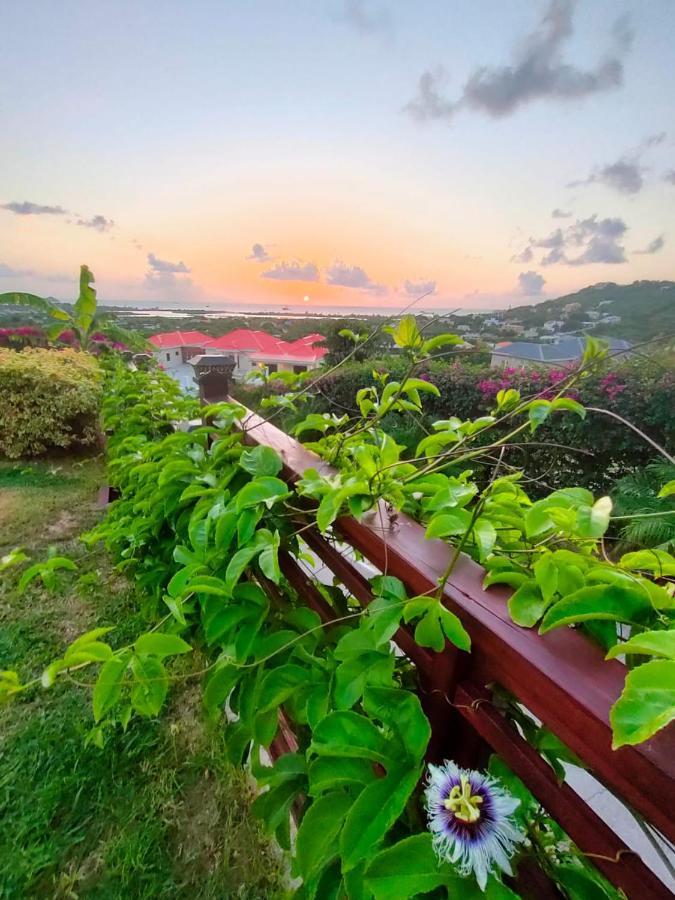 Holiday Home Belvedere Dickenson Bay Екстериор снимка
